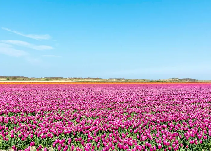 Appartement Beachside With Balcony