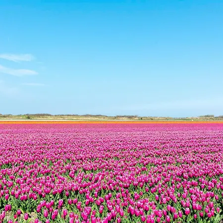 Appartement Beachside With Balcony